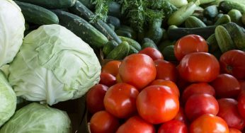 Safely Consuming Home Grown Vegetables