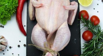 USDA Withdraws Proposed Updates to Prevent Salmonella in Raw Poultry After Working on the Project for Years! Why?