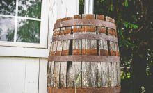 Are Rain Barrels Safe to Use for Gardening
